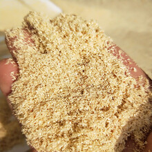 木粉80目佛香用木粉楊木粉松木粉雜木粉規格全可定制圖片