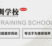 美容培训-美容学校-成都丽卡维美容培训学校