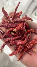 进口印度干辣椒的检验检疫要求