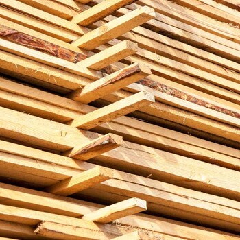 木材进口报关所需的单证/青岛港木材报关