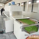 茶葉微波殺青機(jī)型號