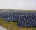 佳木斯市太陽能發電設備太陽能板300W廠家批發
