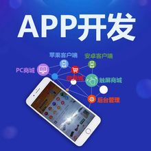 深圳电商APP开发，顺元年高性价比服务