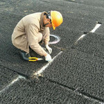屋顶花园绿化网状交织排水板30mm渗排水盲板土工席垫生产厂家