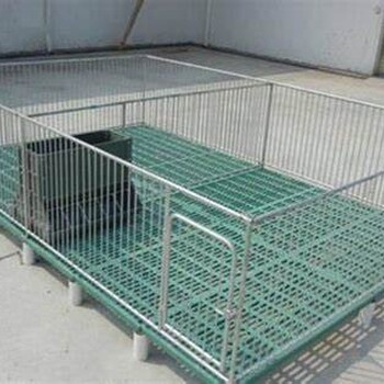 高培仔豬保育床仔豬保育