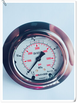 原装DMASS耐震压力表-DMASS工业型压力表-DMASS不锈钢压力表