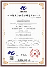 成都硕大ISO45001职业安全健康