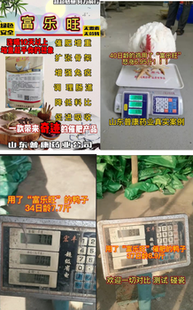 怎么給雞快速催肥長肉