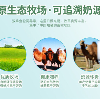 2022年北京新疆駝奶粉天山騎士駝奶粉罐裝315g冰墩墩