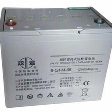 双登蓄电池12V65AH系统6GFM65太阳能铅酸免维护直流屏应急电源