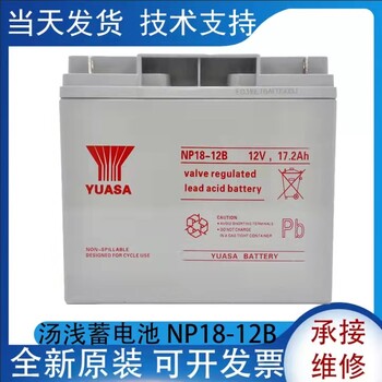 YUASA汤浅蓄电池NP24-12消防应急12V24AH电瓶UPS电源直流屏