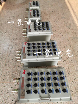 防爆接线箱防爆漏电断路器不锈钢定制