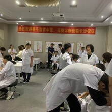 学中医推拿正骨学费