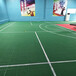通州舞蹈地胶乒乓球羽毛球塑胶地板