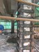福州地区承接粘钢包钢加固改造工程价格优惠