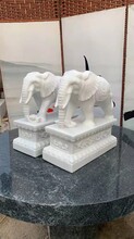 公司酒店门口摆件汉白玉石雕大象，吉祥如意石象