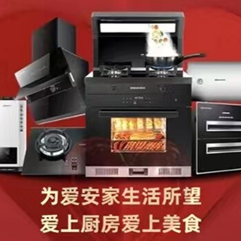 集成灶洗碗机蒸烤箱气电两用集成灶贵州重庆云南四川区域招商加盟