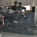 新疆发电机组上柴发电机组100kw