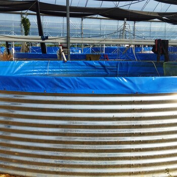 圆形镀锌板帆布鱼池室内户外都可以轻松养殖易安装可循环利用