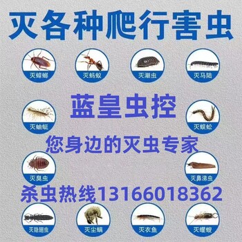 上海四害消杀公司，灭白蚁，酒店除虫灭鼠，饭店除老鼠除蟑螂
