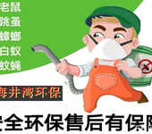 上海灭鼠公司电话-签约质保一对一服务单位