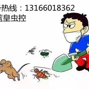 上海浦东新区酒店消杀消毒除蟑螂灭白蚁
