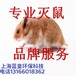 上海徐匯區上門抓老鼠消殺除蟑螂除甲醛公司