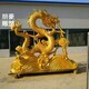 龍產(chǎn)品 (2)