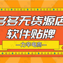 拼多多无货源鲸鱼软件代理贴牌店群精细化运营指导教学