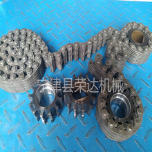 宁津县荣发齿轮厂传动链条CL12节距19.05毫米内外导齿形链及链轮