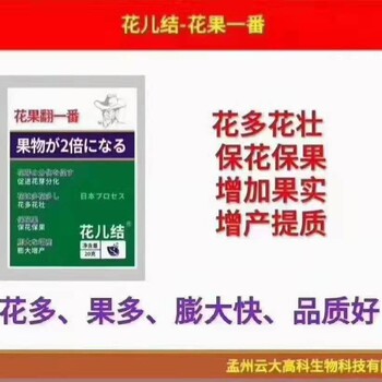 花兒結(jié)（翻一番）