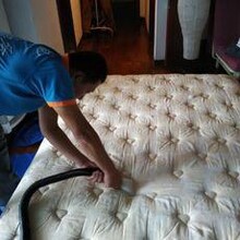海珠广州大道南除螨公司，沙发床垫除螨，家庭全面消毒除螨虫