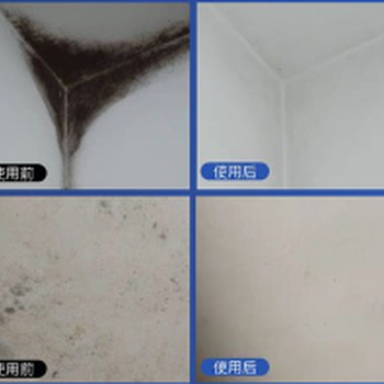 广州清洁发霉的公司，处理墙面发霉，上门除霉服务
