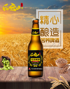 代理白云山苦蕎啤酒，市場銷量好！