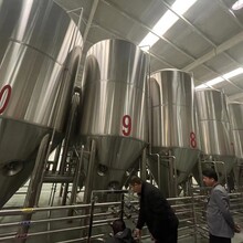 大型精酿啤酒设备一套产量3吨德啤酒设备啤酒厂酿酒设备