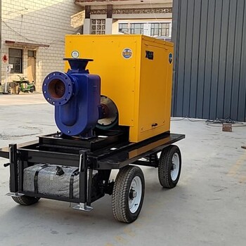 湖南张家界柴油机自吸水泵面凿毛机防汛排水泵车
