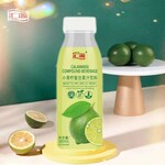 汇源小青柠汁饮料380ml6瓶/15瓶整箱