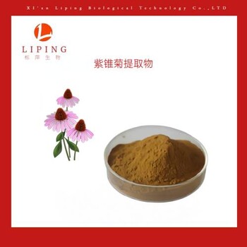 EchinaceaPolyphenols紫锥菊提取物紫锥菊多酚4%