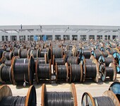 上海南洋NANYANGCABLE高压电机绕组引接电缆JFEYH10000V技术参数