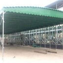 寶雞雨棚廠家移動推拉篷工廠倉庫帳篷活動伸縮雨棚戶外推拉雨棚