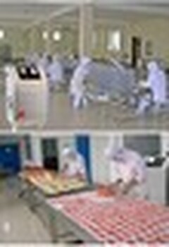 河南濮陽出國勞務(wù)愛爾蘭招木工瓦工