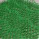 徐州地区HDPE材质三维植被网植草护坡园林绿化邮寄样品