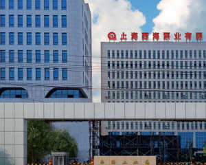 上海西海泵业制造有限公司