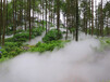 高压雾森设备制作-喷雾造景系统生产厂家