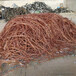 滁州哪里回收废铜排咨询周边专业厂家电话热线
