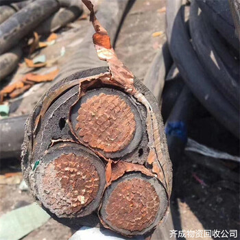 淳安電纜回收推薦杭州廠家電話當?shù)鼗厥蘸５纂娎|