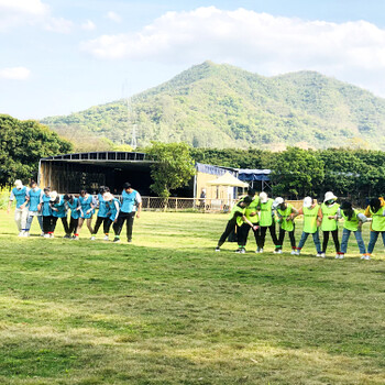 惠州周邊適合公司團建一日游野炊燒烤采摘的地方