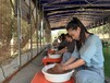惠州年会、团建好去处人均低还能包吃包玩丨果盛生态园