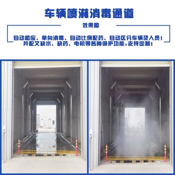 四川供應(yīng)DZ-1口岸集裝箱車輛消毒進出車輛噴淋消毒