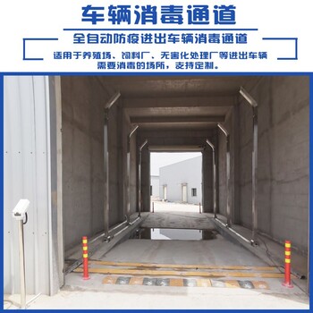 四川供應(yīng)DZ-1口岸集裝箱車輛消毒進出車輛噴淋消毒